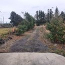 수산리-13 이미지