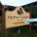 마더스 가든 이미지