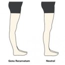 헬로우PT 이미지
