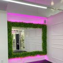 라반휘트니스 이미지