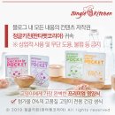 심장병 환묘 크림이의 건강 회복을 함께해요! 생식 두달 검사결과 상태 양호나왔어요~:) 냥생승리 크림...