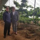 금우농장 이미지