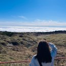 서호동-61 이미지