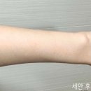 셀투바이 네이버블로그