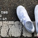 브라더스 대구점 이미지
