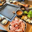 성포 초등학교 | 안산성포동맛집 &#39;쌈패 안산점&#39; 무한리필 쌈채소와 대패삼겹살로 든든한 점심 후기