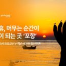 스테이놀 이미지