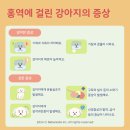 진리 동물병원 네이버블로그