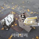 국일안경 이데일리