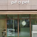 pit a pet (핏어펫) 네이버블로그