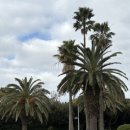 세븐일레븐 서귀포롯데호텔점 이미지