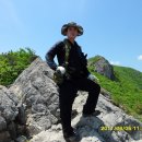 울산아지매 이미지