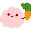 코코앤그레이 이미지