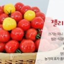몰댄동산