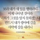 쁄라 이미지