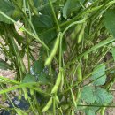 청자농장 이미지