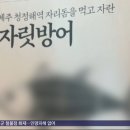 일본산 방어 '국내산' 둔갑‥4.6톤 횟감으로 팔았다 이미지