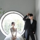 레이디로즈스튜디오