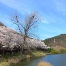 동성아이별꽃유치원 이미지