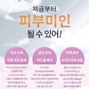 더에스테오