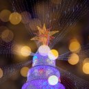 삼산디자인거리 Daum카페