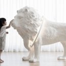 (주)게이즈 이미지