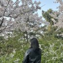 싸움의고수혜영이분식 | 스물아홉의 삼사월