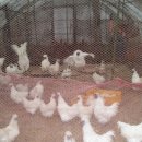 윤씨네농장 이미지