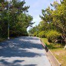 달아마루브릴랑 이미지