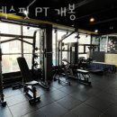 팀엑스핏 개봉 이미지