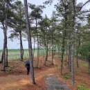 삼성현역사문화공원 이미지