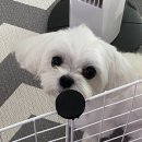 돈돼지PC방 | 2021년 7월 ღ