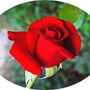 오늘하루가 이미지