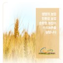 농업회사법인(주)우리농촌살리기공동네트워크 이미지