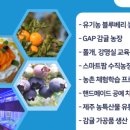 폴개네제주드림캠프 이미지