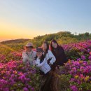 황매산매점화장실(황매산관광휴게소 화장실) | 2026 황매산 철쭉축제 (일출, 주차장, 주차요금, 셔틀버스, 먹거리 등)