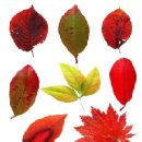 31140-9-32-2 이미지