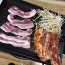 꿀통돼지 이미지