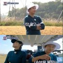 쌍쌍 이미지