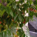 온동농장 이미지