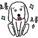 꼬드리 이미지