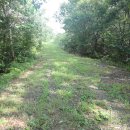 쌍령산 봉수대 이미지