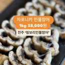 민물장어