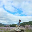 문희농장 이미지