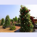 곡성-039 이미지