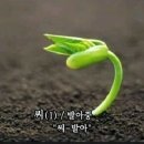 남일상사 이미지