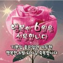 토시리 이미지