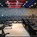 골드 토탈 피트니스 이미지