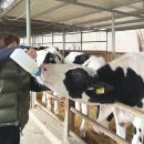 충남 예산 가볼만한곳 아그로랜드 태신목장 아이와 나들이 추천