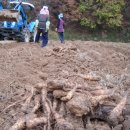 우리들 농장 이미지